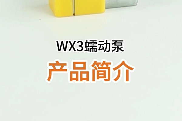WX3蠕動泵產(chǎn)品簡介