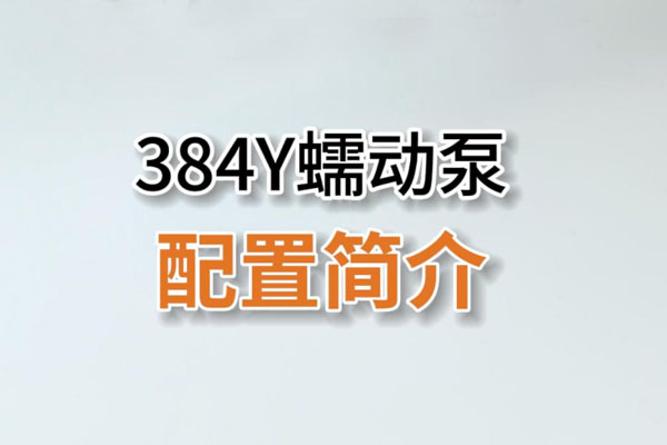 384Y蠕動泵產(chǎn)品配置簡介